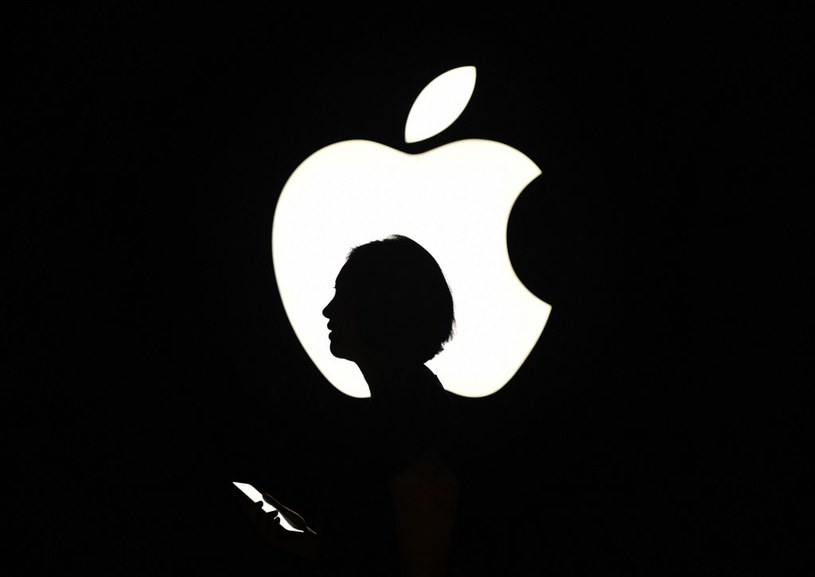 Apple poszło na ugodę /AFP