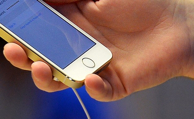 Apple stawia na czytniki linii papilarnych? /AFP