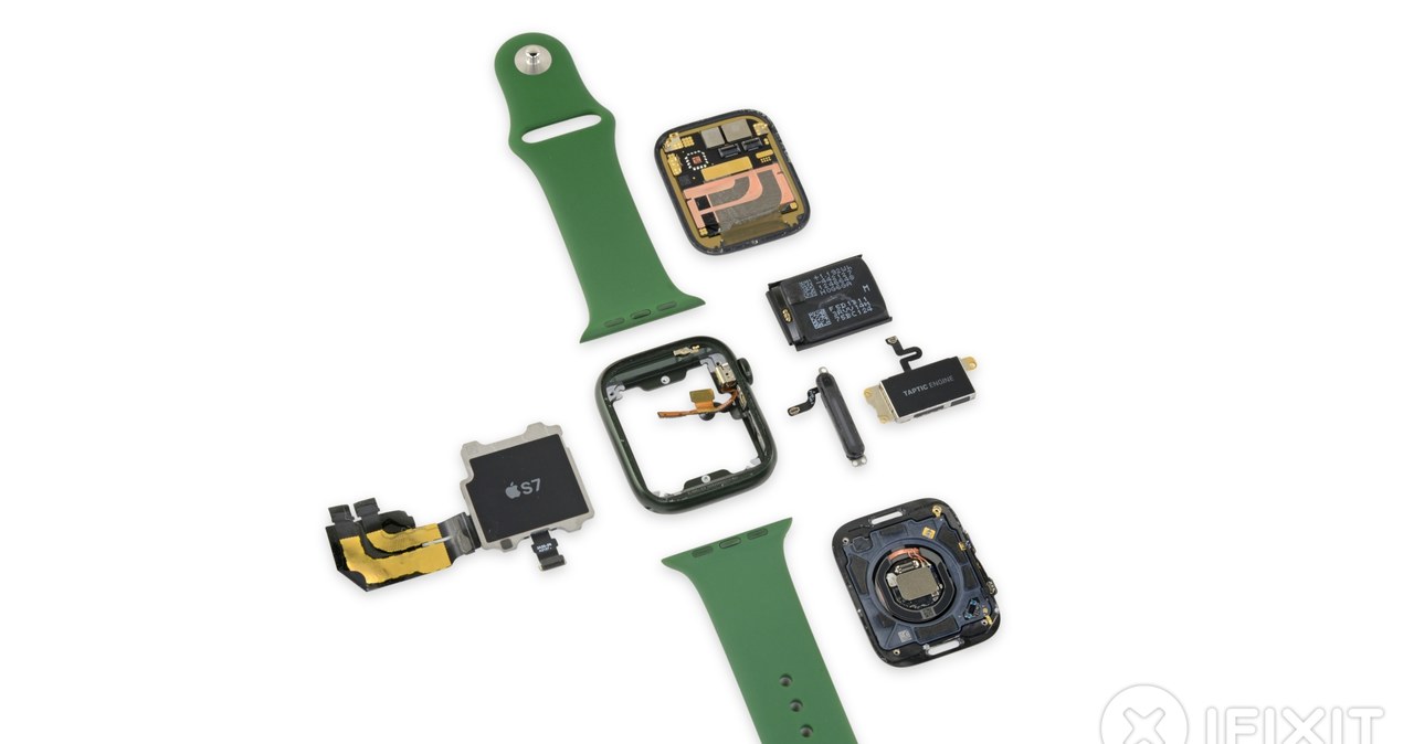 Apple Watch Series 7 rozebrany na czynniki pierwsze - iFixit /materiały prasowe