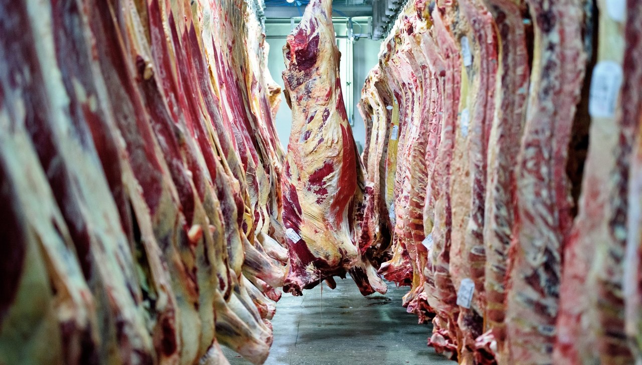 Arabia Saudyjska i Białoruś wprowadzają embargo na wołowinę z Polski