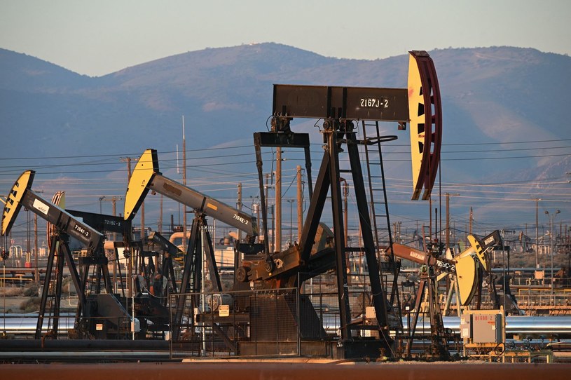 Arabia Saudyjska oraz Rosja zapowiedziały, że przedłużają do końca roku obniżone wydobycie ropy naftowej /AFP