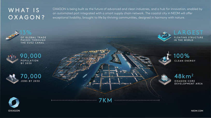 Arabia Saudyjska ujawniła plany Oxagonu /NEOM /materiały prasowe