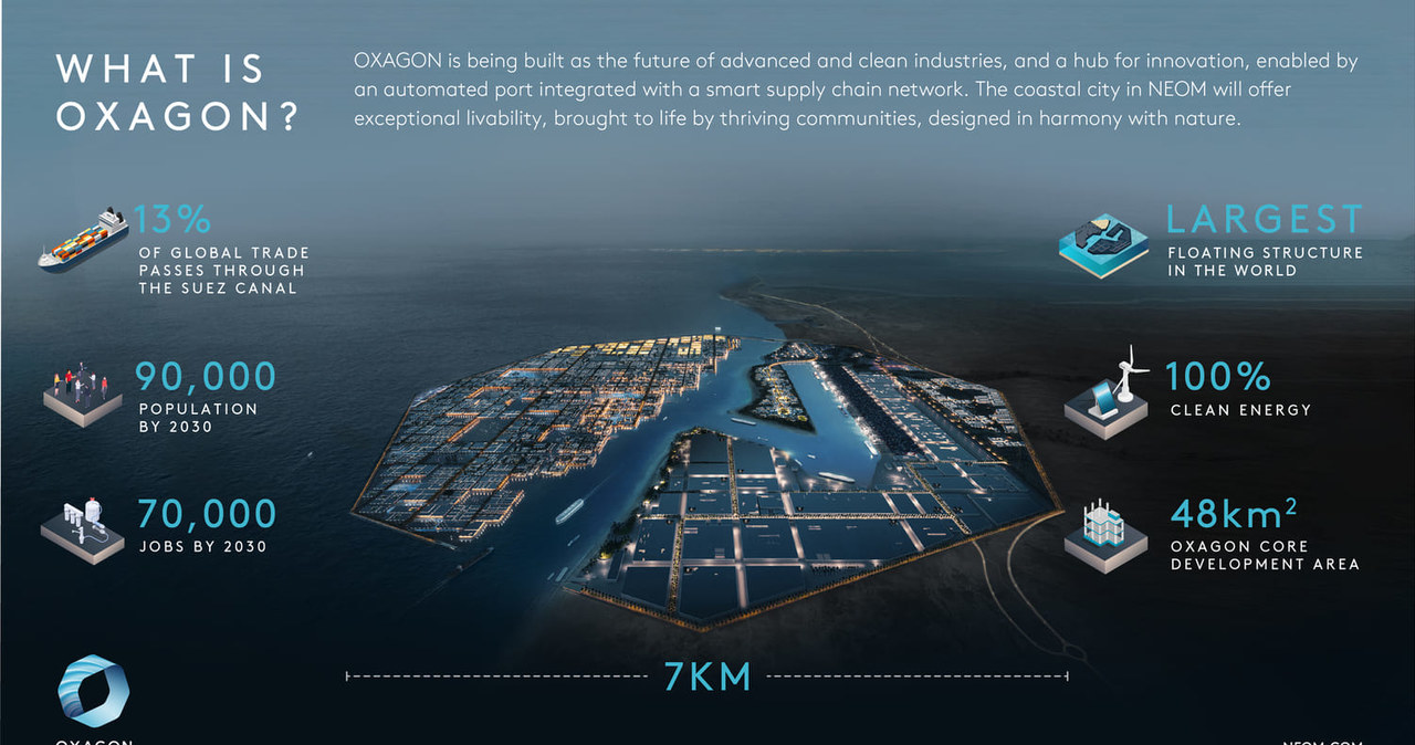 Arabia Saudyjska ujawniła plany Oxagonu /NEOM /materiały prasowe