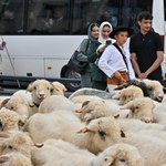 Arabowie pokochali Zakopane. "Na Krupówkach jak w Dubaju"