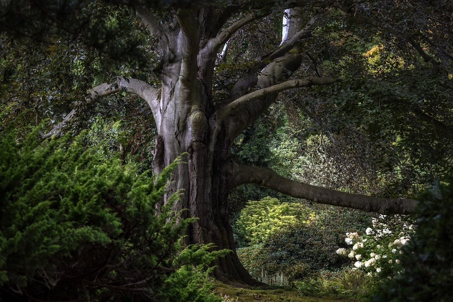 Arboretum Wojsławice /Fot. Zielona bombonierka Bożka Piotrowska /Facebook