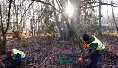 Archeolodzy badają teren w sąsiedztwie Muzeum Stutthof