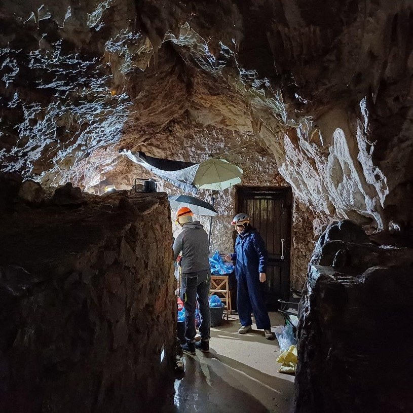 Archeolodzy chcą dowiedzieć się czegoś więcej o obecności w jaskini człowieka neandertalskiego. /fot. dla GeekWeeka Grzegorz Pierzak, Manager Kompleksu Raj /INTERIA.PL