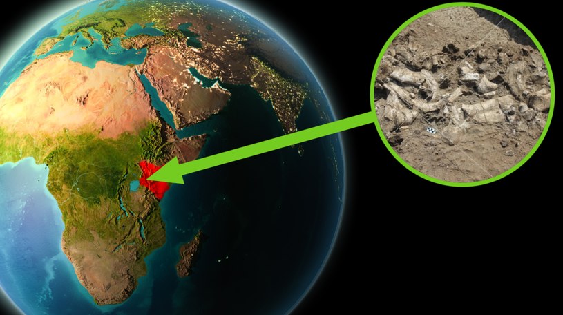 Archeolodzy mogli odnaleźć najstarsze narzędzia wykonane ludzką ręką, a także... pozostałości rzeźni sprzed 2,9 mln lat /123RF/PICSEL