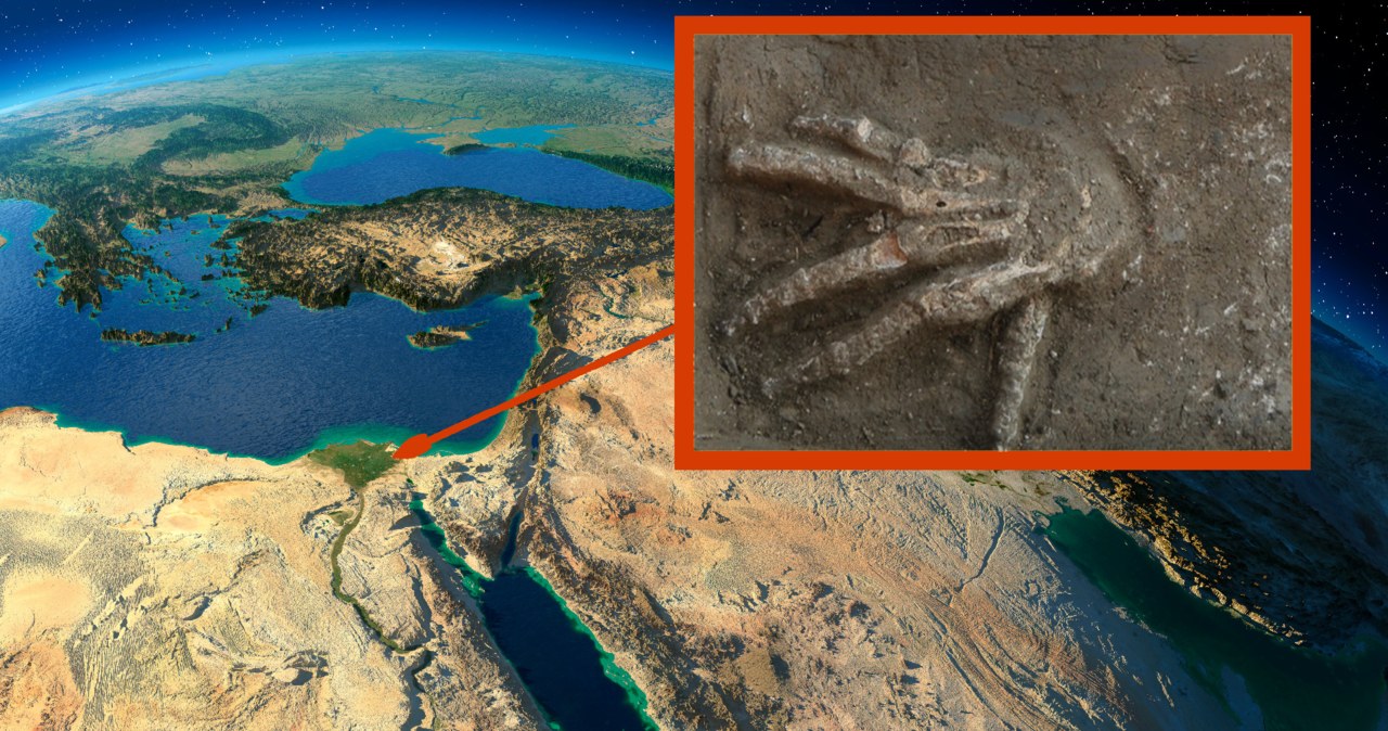 Archeolodzy mogli poznać zagadkę jednego z najbardziej zaskakujących odkryć XXI wieku /123RF/PICSEL