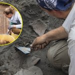 Archeolodzy odkryli rzymski skarb z II wieku w podłodze willi w Austrii