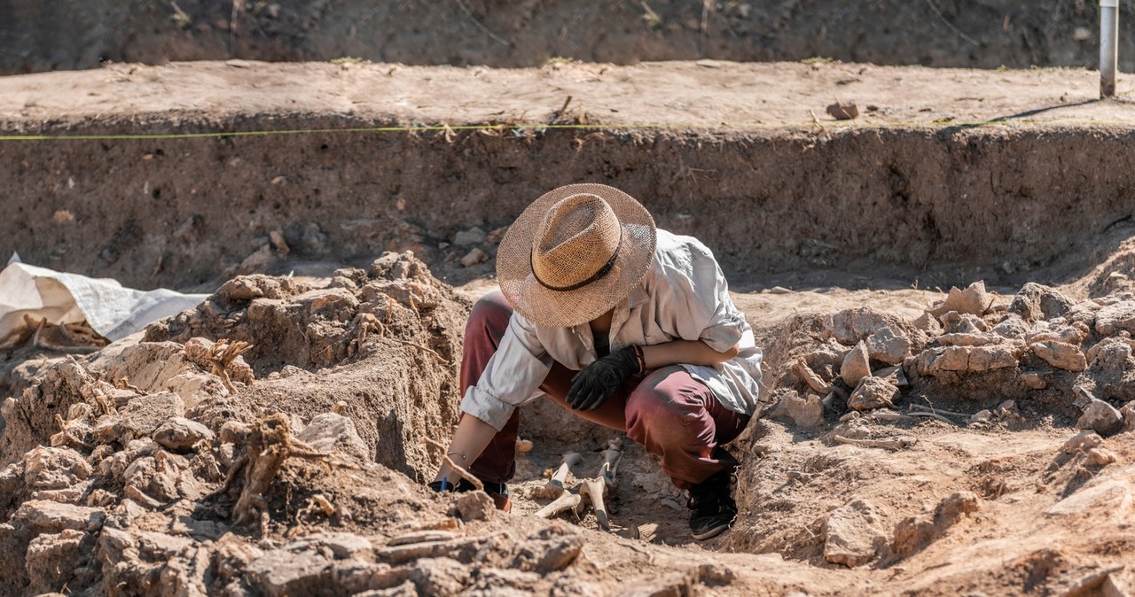 Archeolodzy odkryli tajemniczy kompleks ze starożytnego Egiptu /microgen /123RF/PICSEL