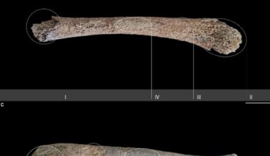 Archeolodzy odkryli w Alpach najstarsze ślady zabiegu porodowego