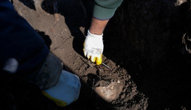 Archeolodzy odnaleźli wyjątkową rezydencję "drugich Aten". Poruszyło ich znalezisko w basenie