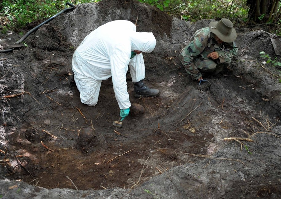 Archeolodzy pracujący w zbiorowej mogile na tzw. trupim polu w rejonie wsi Ostrówki w Ukrainie (zdjęcie z 2011 r.) /Darek Delmanowicz /PAP