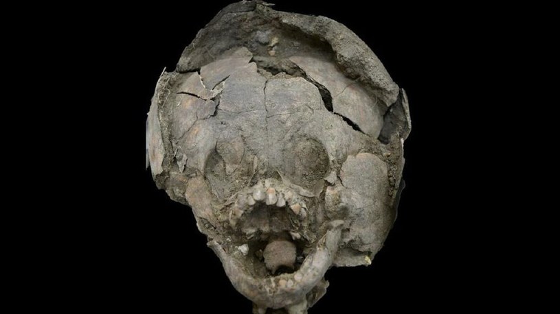 Archeolodzy są w szoku. Odkryli dzieci pochowane w czaszkach… innych dzieci! /Geekweek