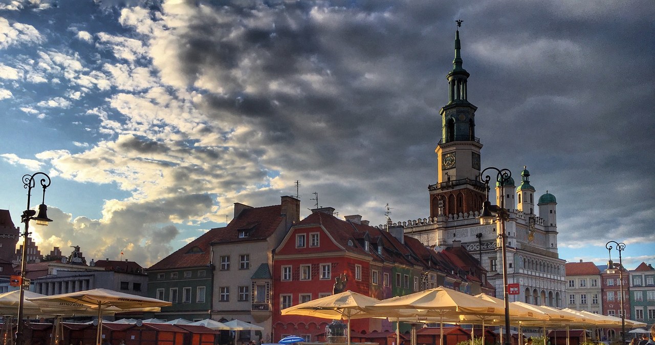 Archeolodzy wkraczają na poznański rynek. Potem przyjdzie czas na remont