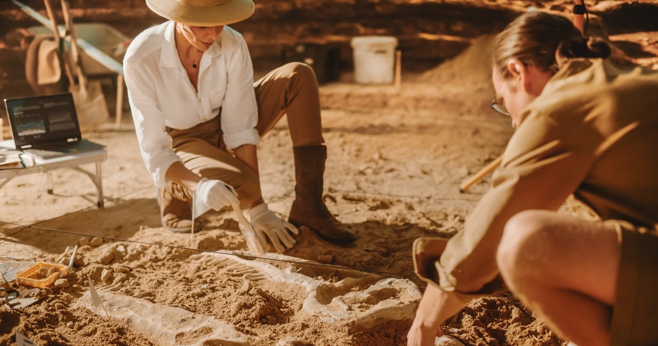 Archeolodzy współpracujący z Muzeum Odense w Danii odkryli ponad 50 grobów wikingów /123RF/PICSEL