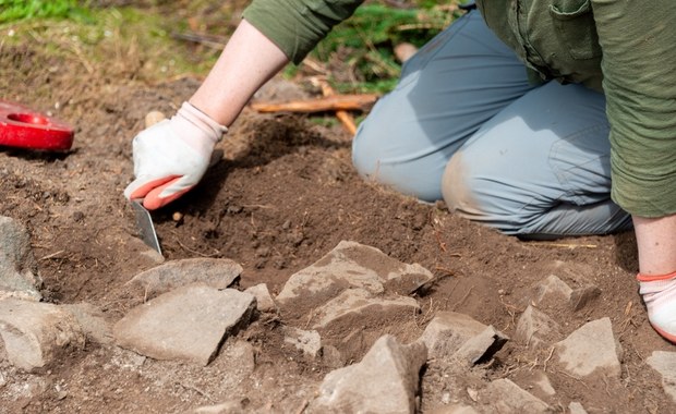 Archeolodzy zbadają pozostałości kamienicy