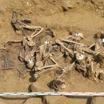 Archeolodzy znaleźli szczątki 35 osób. To ofiary egzekucji z II wojny światowej