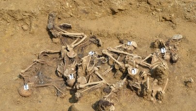 Archeolodzy znaleźli szczątki 35 osób. To ofiary egzekucji z II wojny światowej