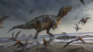 Archeolodzy znaleźli szczątki największego drapieżnego dinozaura w Europie