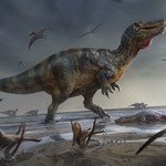 Archeolodzy znaleźli szczątki największego drapieżnego dinozaura w Europie