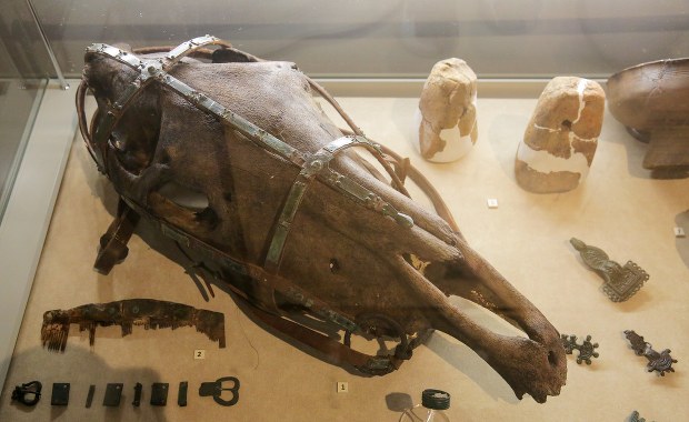 Archeologiczne skarby z jeziora Nidajno. Unikatowe w skali europejskiej