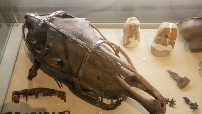 Archeologiczne skarby z jeziora Nidajno. Unikatowe w skali europejskiej