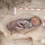 Archeologiczny hit: Mumia z włosami na wysypisku śmieci