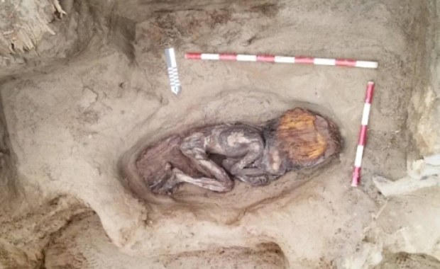 Archeologiczny hit: Mumia z włosami na wysypisku śmieci