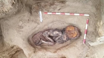 Archeologiczny hit: Mumia z włosami na wysypisku śmieci