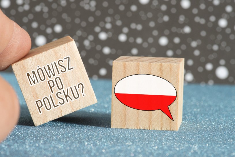 Arcytrudny QUIZ Z Języka Polskiego. 10/16 To Naprawdę Fenomenalny Wynik ...