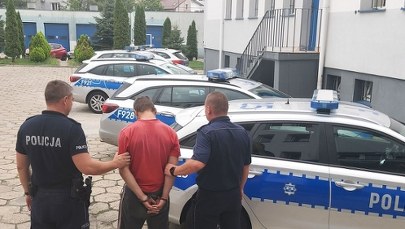 Areszt dla dwóch podpalaczy 