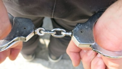 Areszt dla mężczyzny, który uderzył psa tępym narzędziem, włożył do worka i zakopał