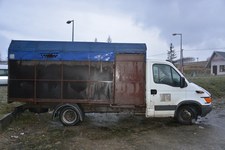 Areszt dla obywateli Rumunii, którzy znęcali się nad przewożonymi końmi