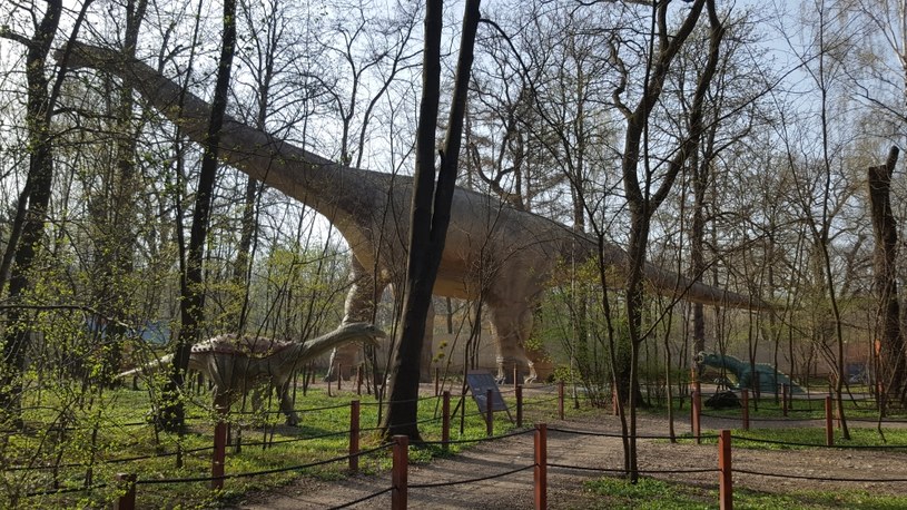 Argentynozaur jest największym ruchomym dinozaurem w Polsce /materiały prasowe