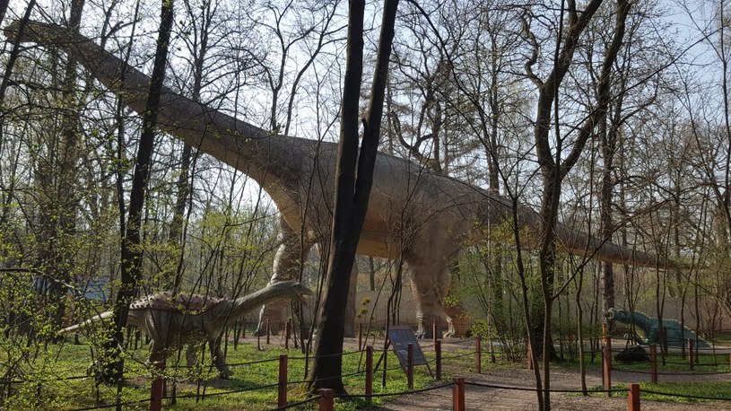 Argentynozaur jest naprawdę gigantyczny /materiały prasowe