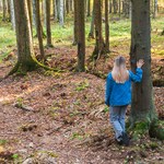ARiMR: 20 czerwca ruszy nabór wniosków ws. dofinansowania inwestycji w prywatne lasy