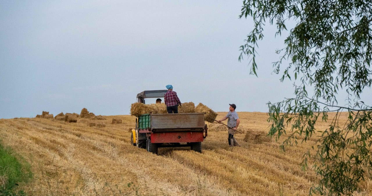 ARiMR kontroluje rolników. Oto, co sprawdzają /Tadeusz Koniarz /Reporter