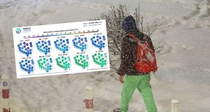 Arktyczny mróz uderzy w nocy. Alert dla 3 regionów