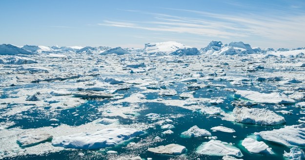 Arktyka na zdjęciu ilustracyjnym /Shutterstock