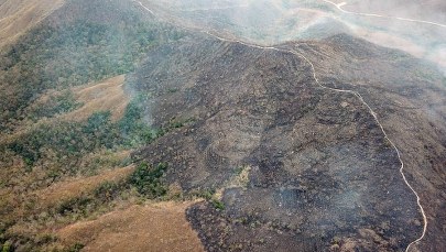 Armia Brazylii gotowa do walki z pożarami w Amazonii
