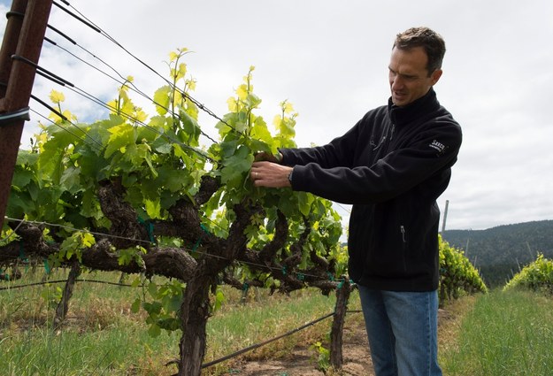 Arnaud Weyrich, producent wina z Kalifornii /JOHN G. MABANGLO /PAP/EPA