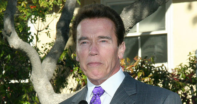 Arnold Schwarzenegger &nbsp; /Splashnews