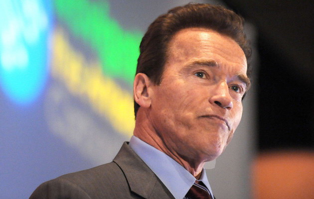 Arnold Schwarzenegger &nbsp; /AFP