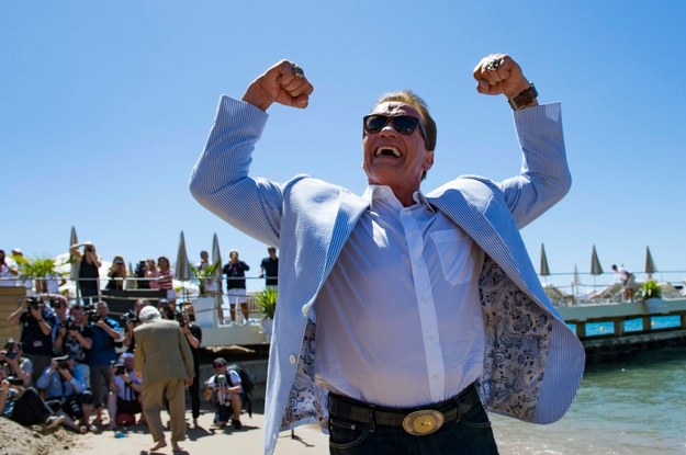 Arnold Schwarzenegger będzie gwiazdą tegorocznej, drugiej edycji Fit Life Expo /NOBERT SCANELLA/Panoramic /PAP