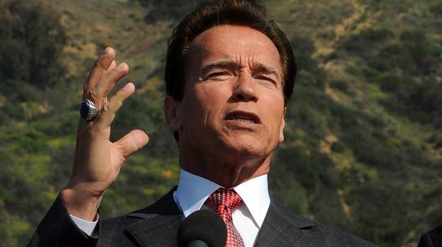 Arnold Schwarzenegger ma już 64 lata. Jakim będzie Terminatorem? /AFP