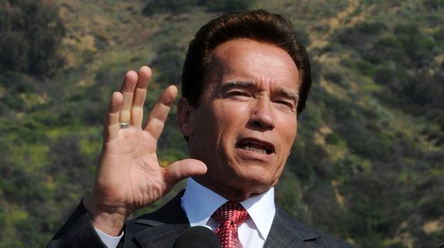 Arnold Schwarzenegger wraca na ekrany /AFP
