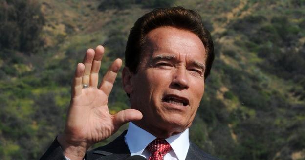 Arnold Schwarzenegger wraca na ekrany /AFP