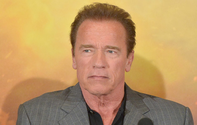 Arnold Schwarzenegger /Dominique Charriau /Getty Images